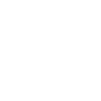 icon 11